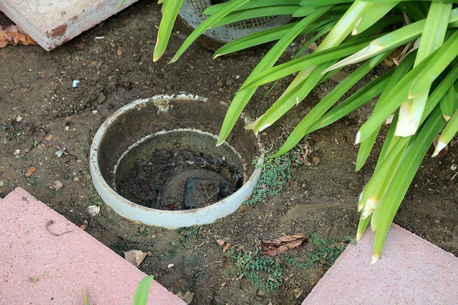 drain